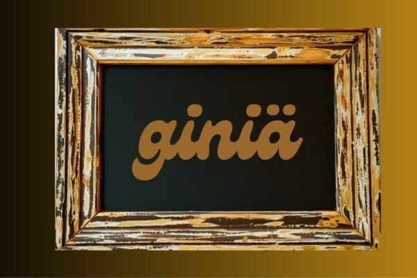 Giniä: A Concept of Balance, Simplicity, and Innovation Giniä